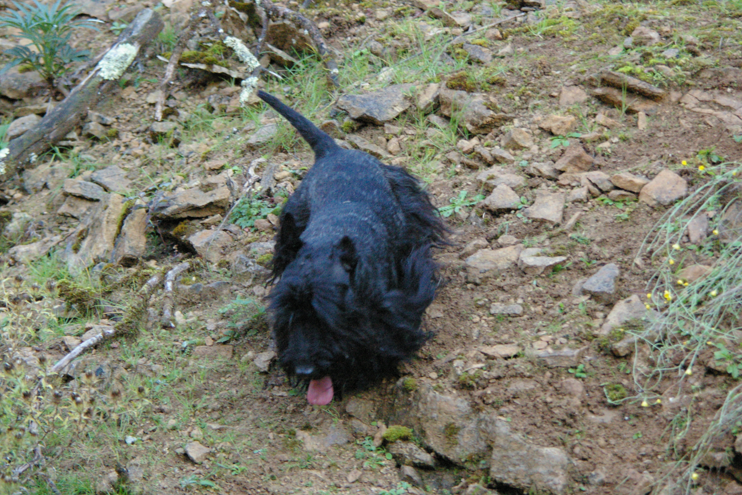 IMGP0241