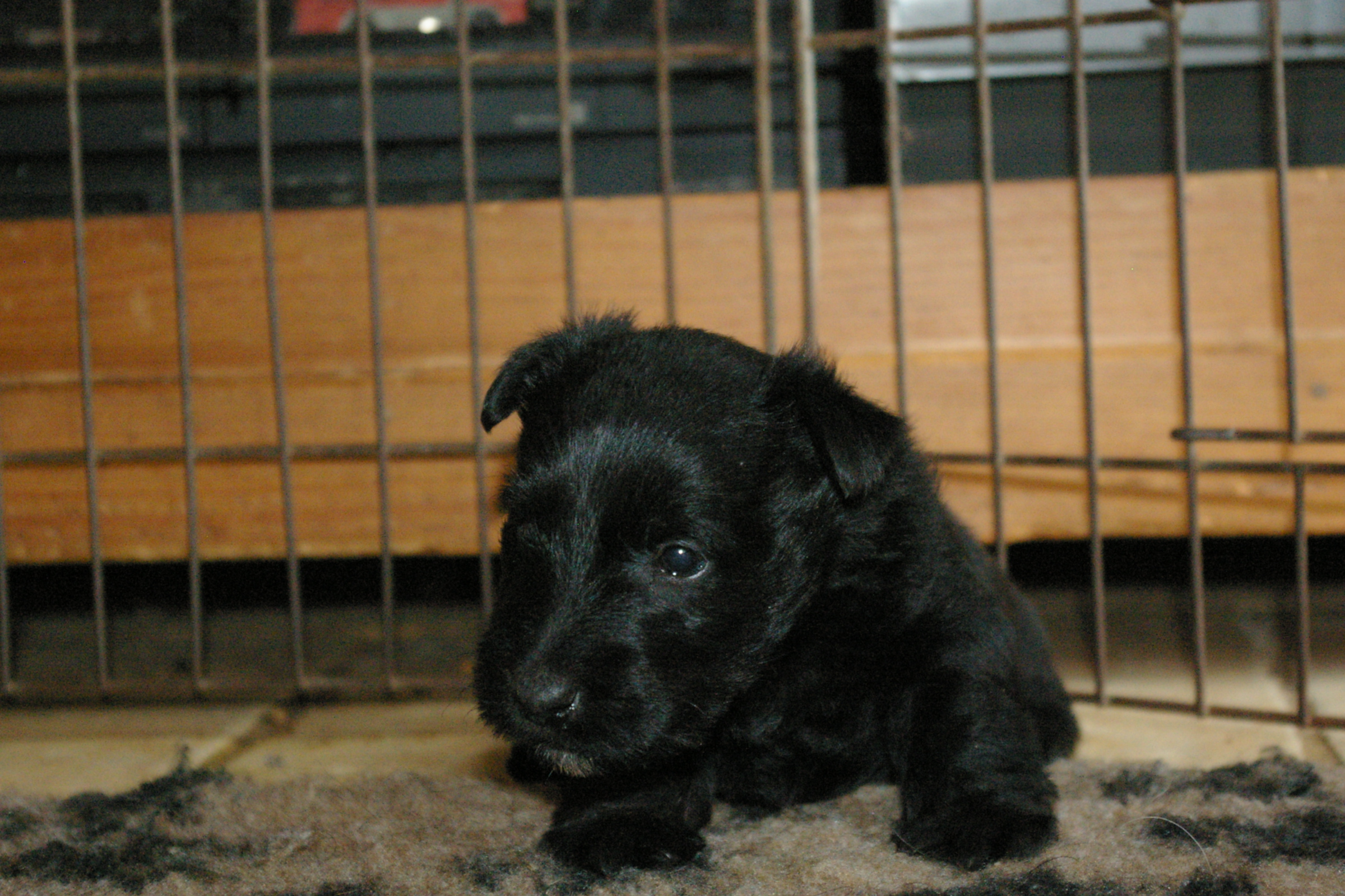 IMGP0504