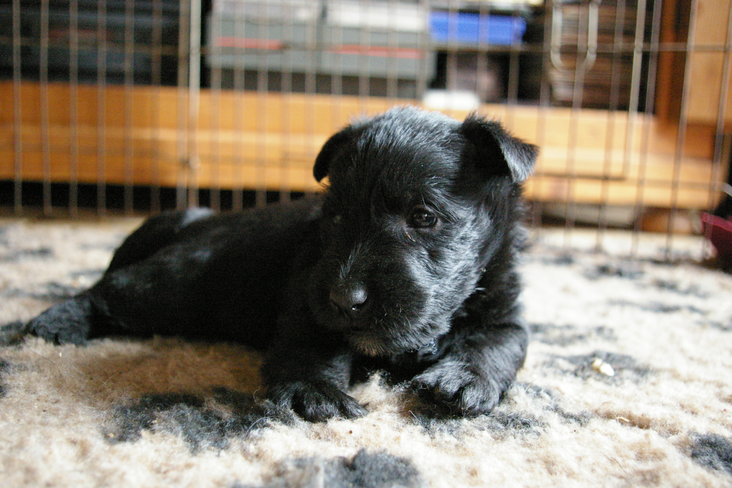 IMGP0557