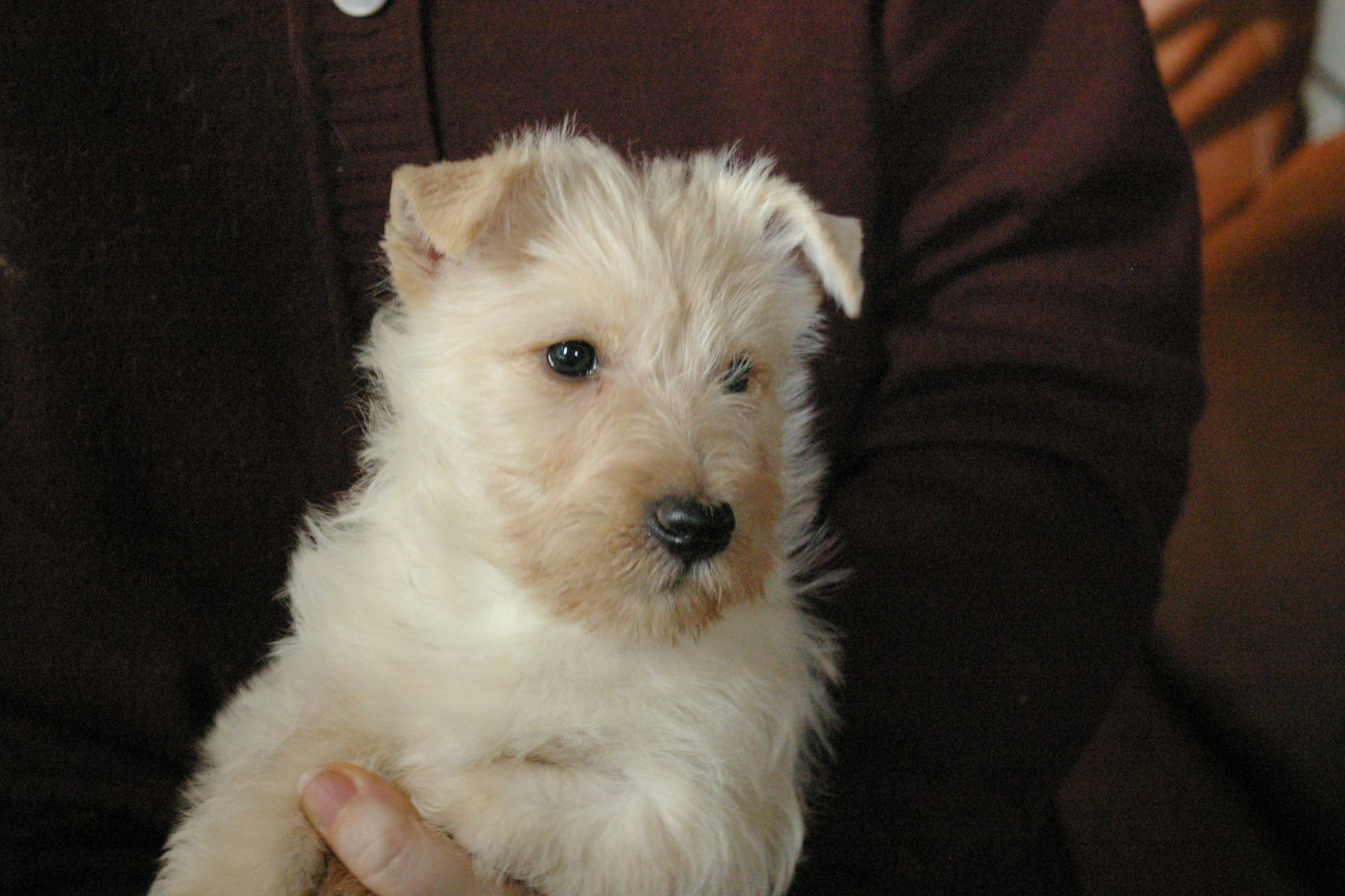 IMGP0734