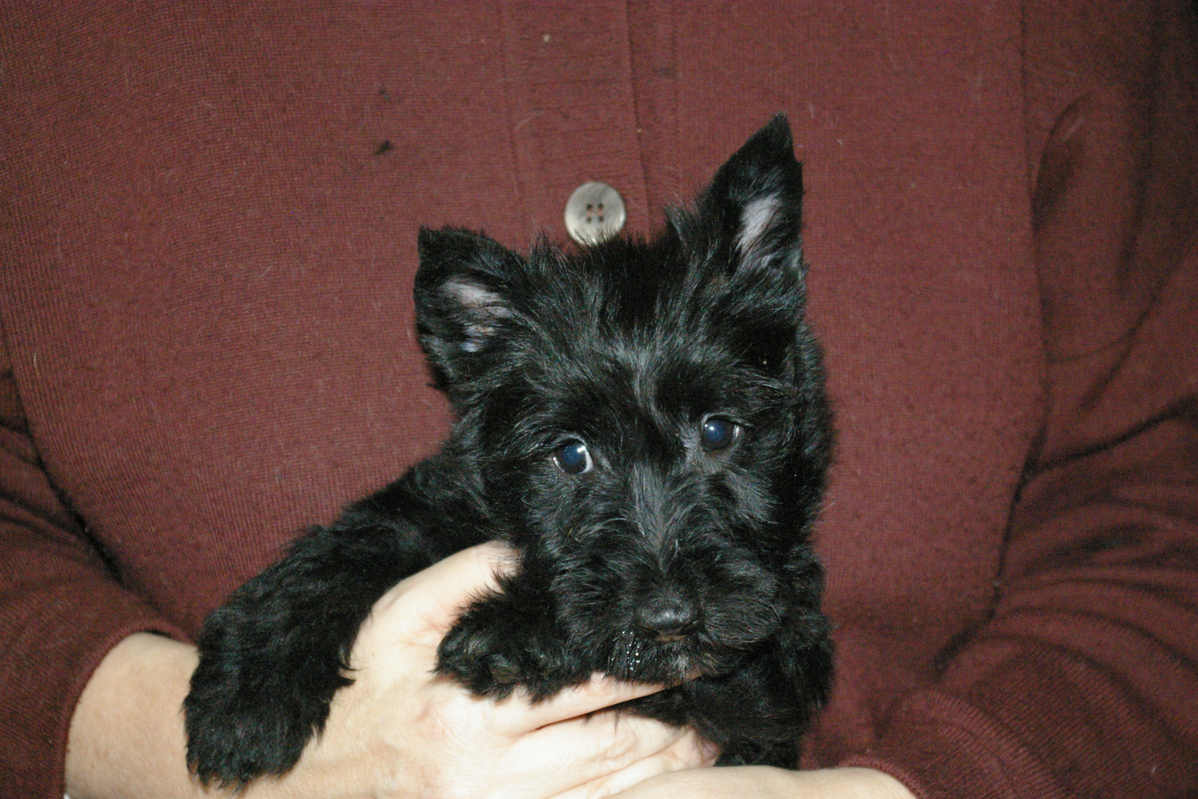 IMGP0760