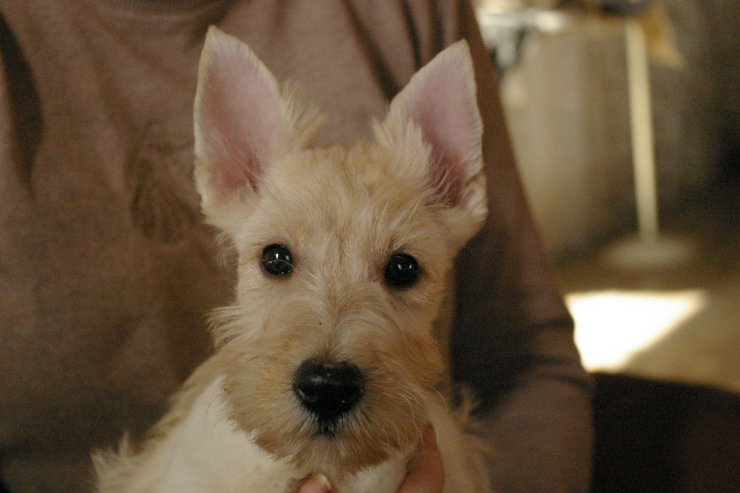 IMGP0845