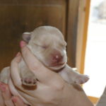 IMGP0917
