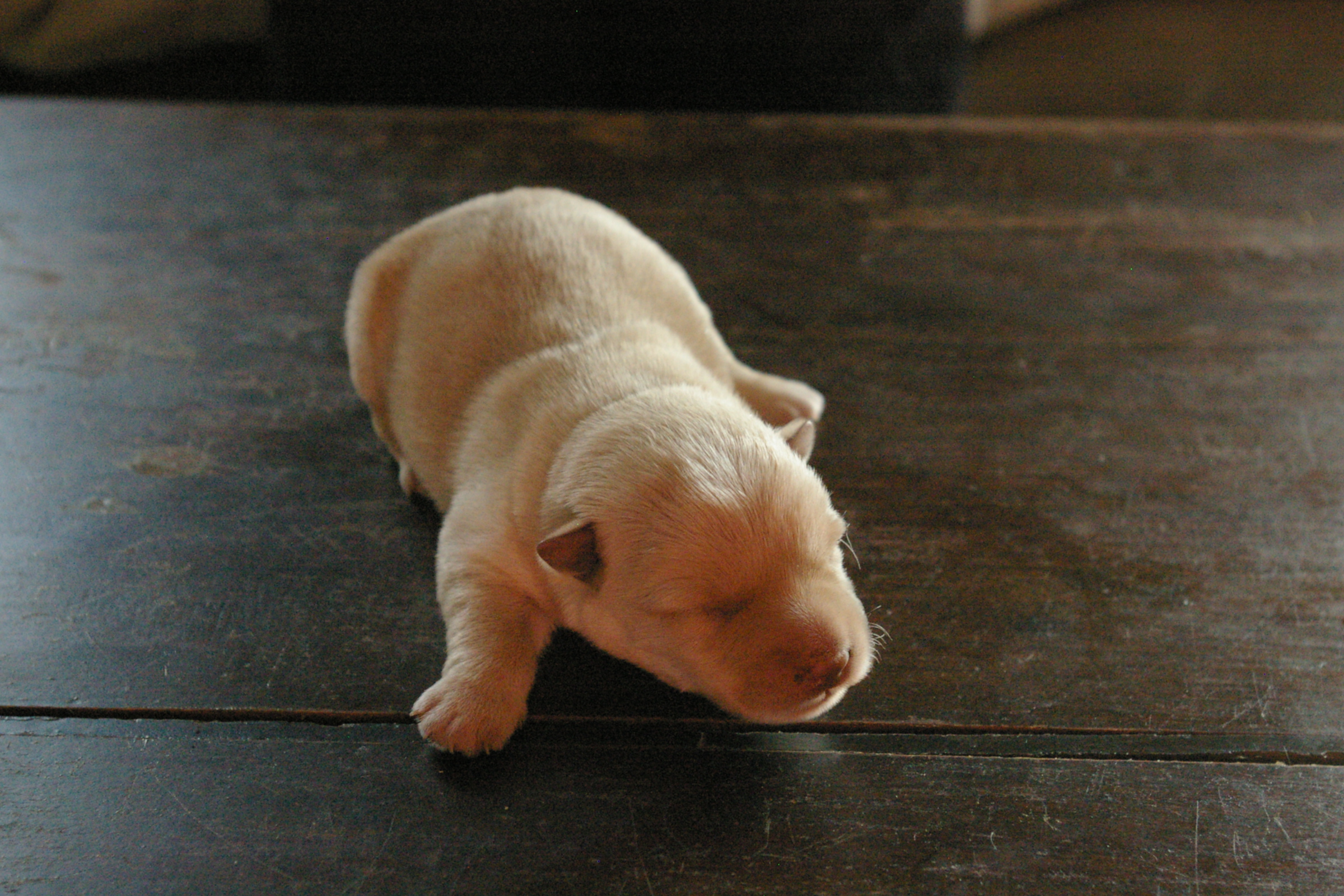 IMGP0920
