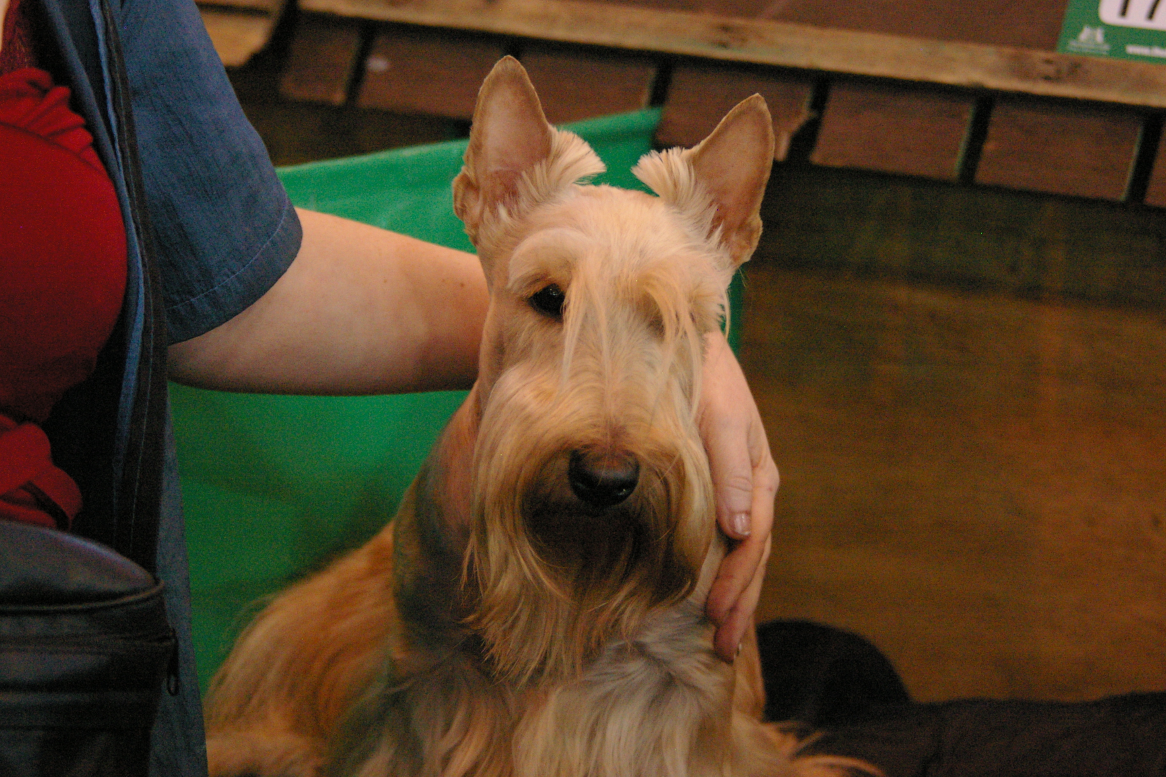 IMGP0942