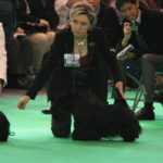 IMGP0953