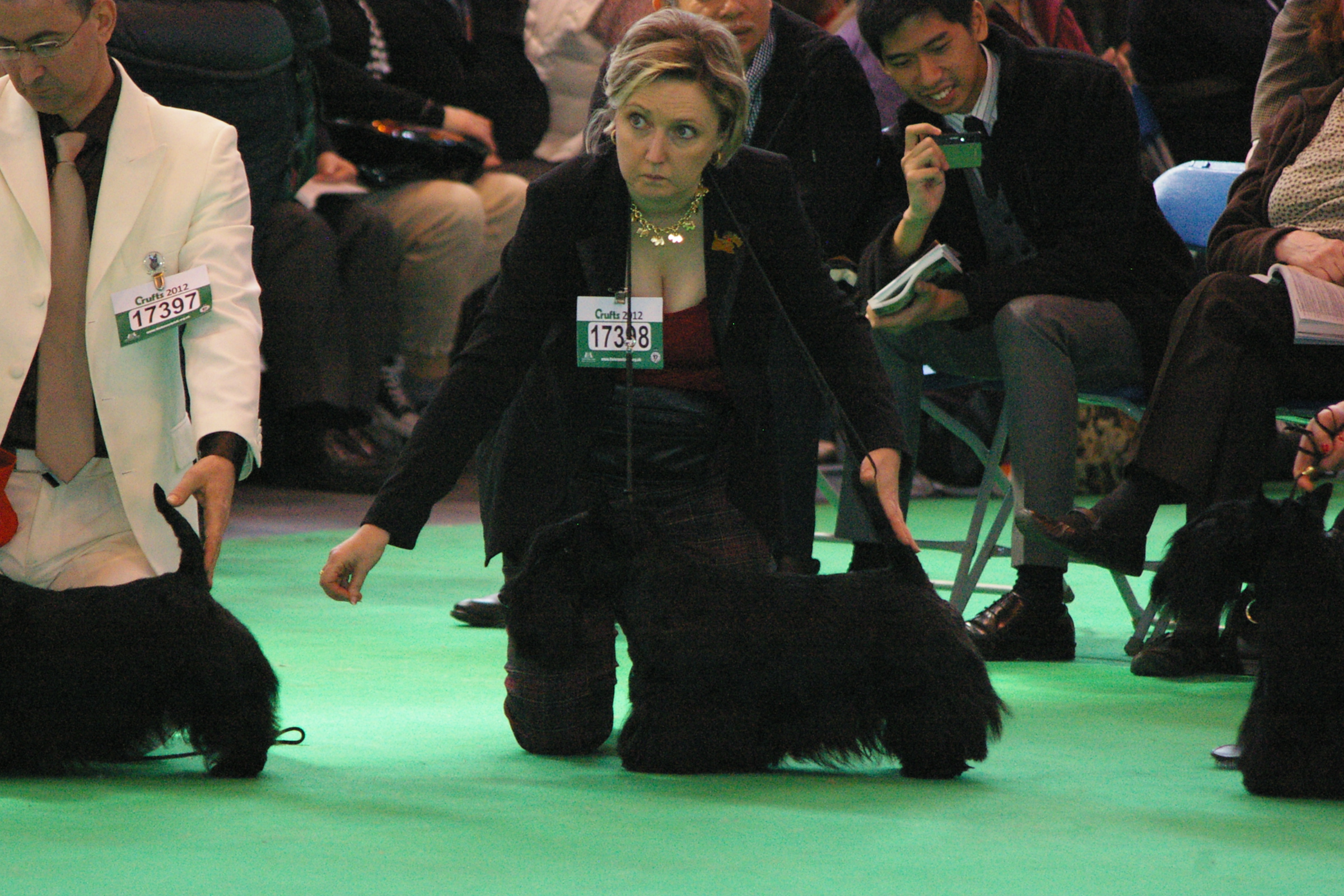 IMGP0953