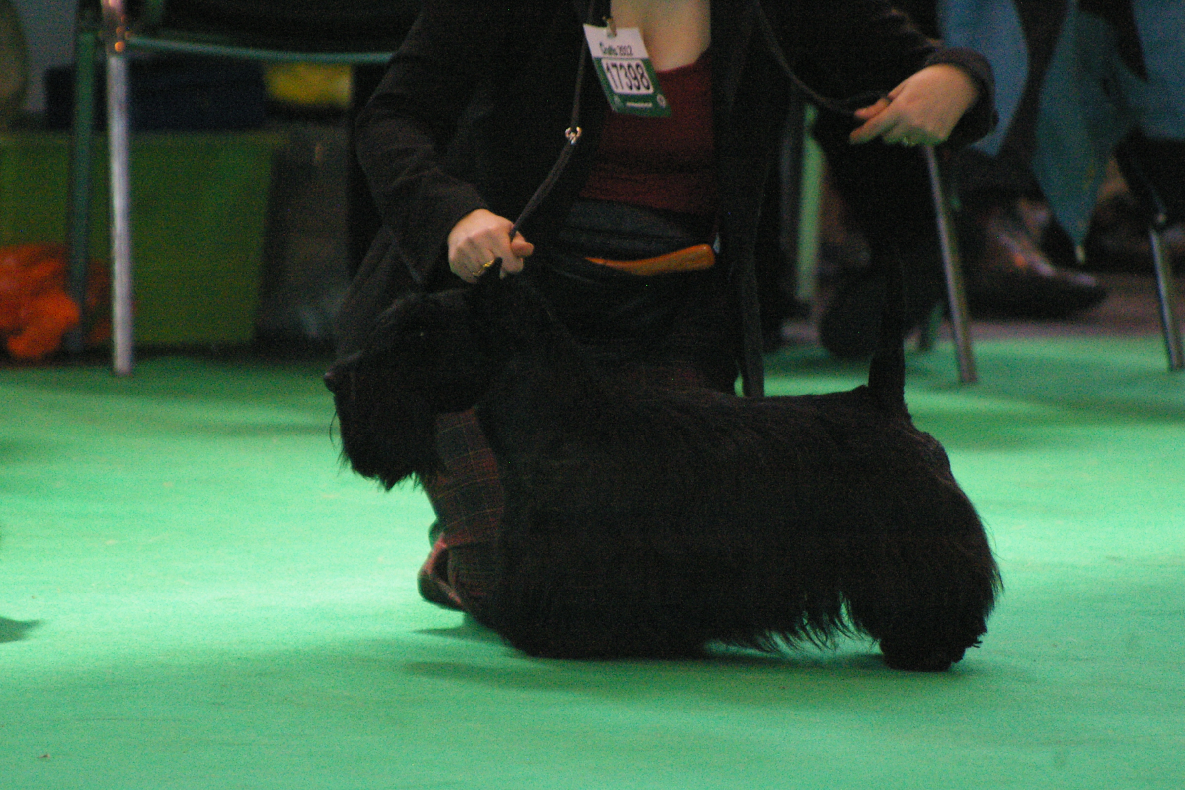 IMGP0956