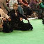 IMGP0964