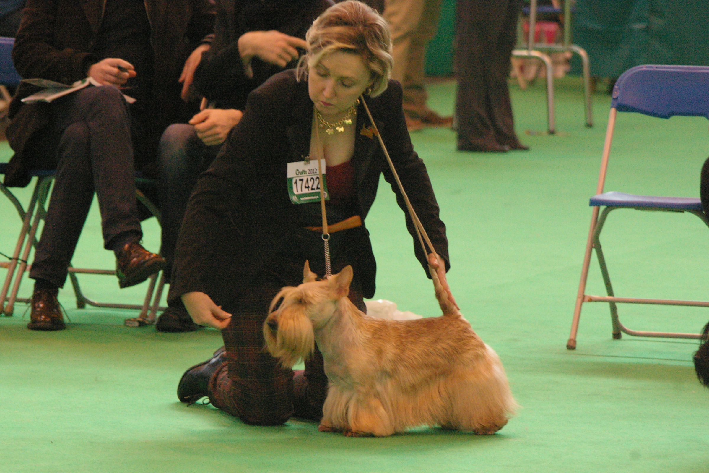 IMGP0971