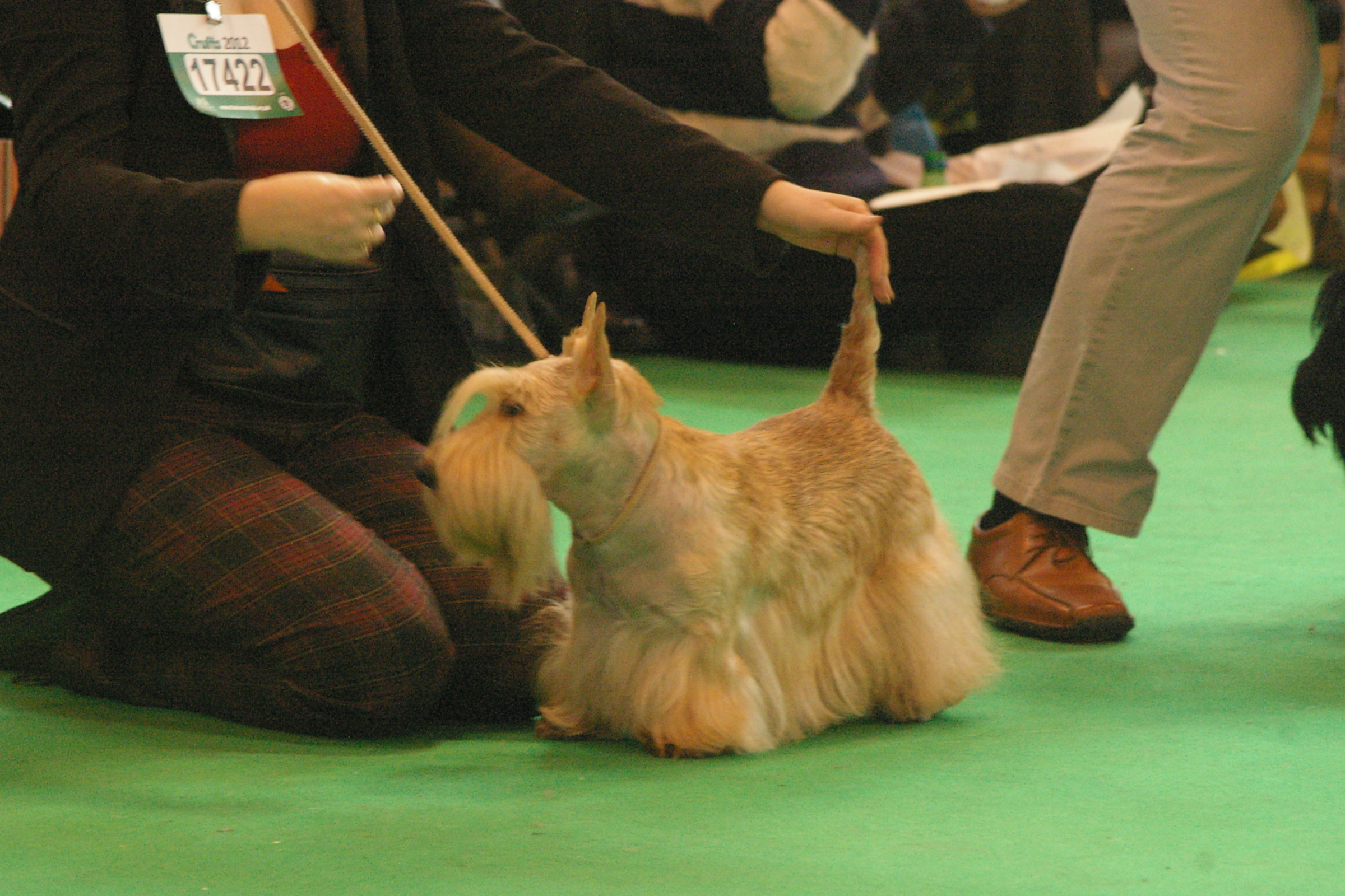 IMGP0972