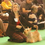 IMGP0973
