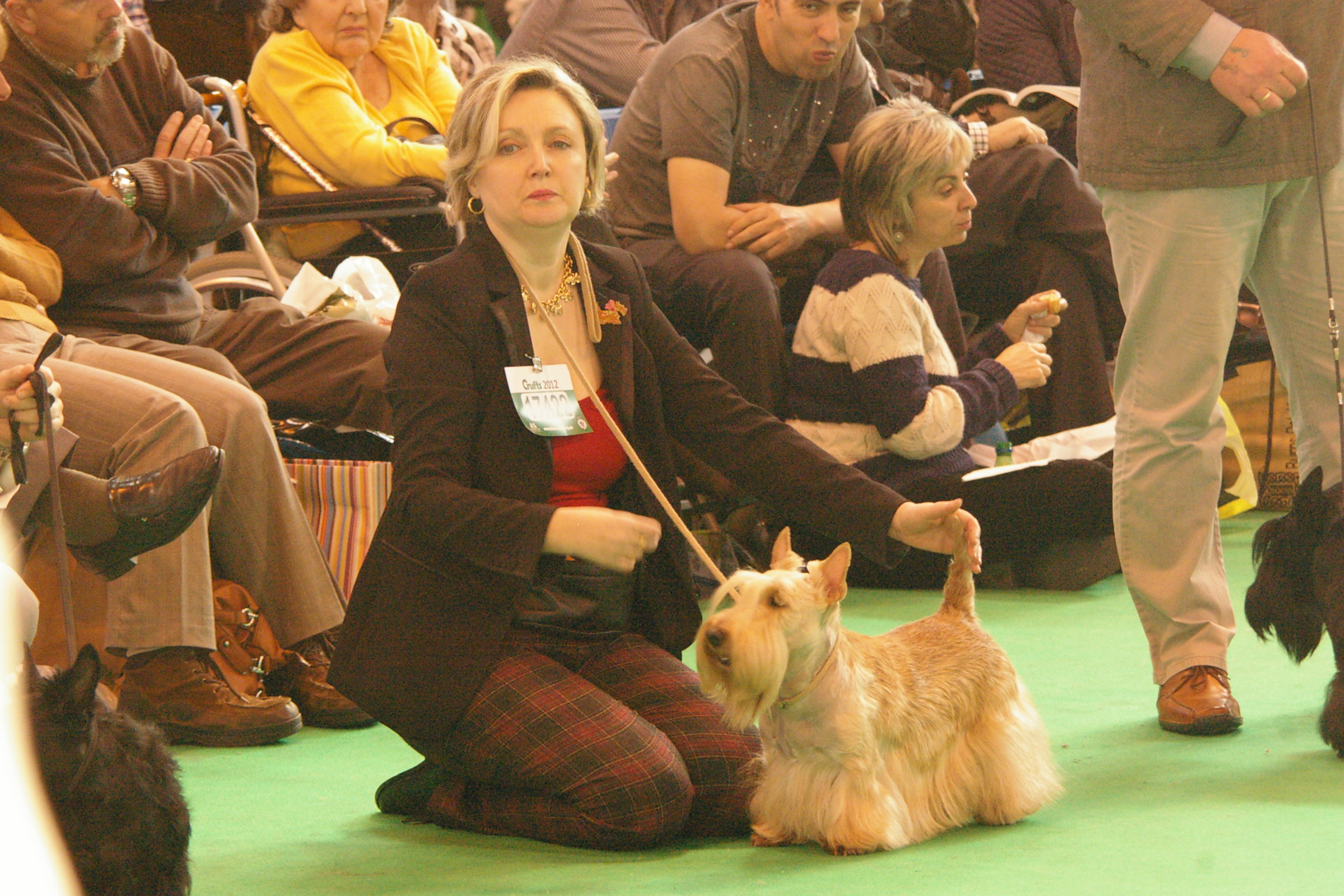 IMGP0973