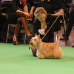IMGP0975