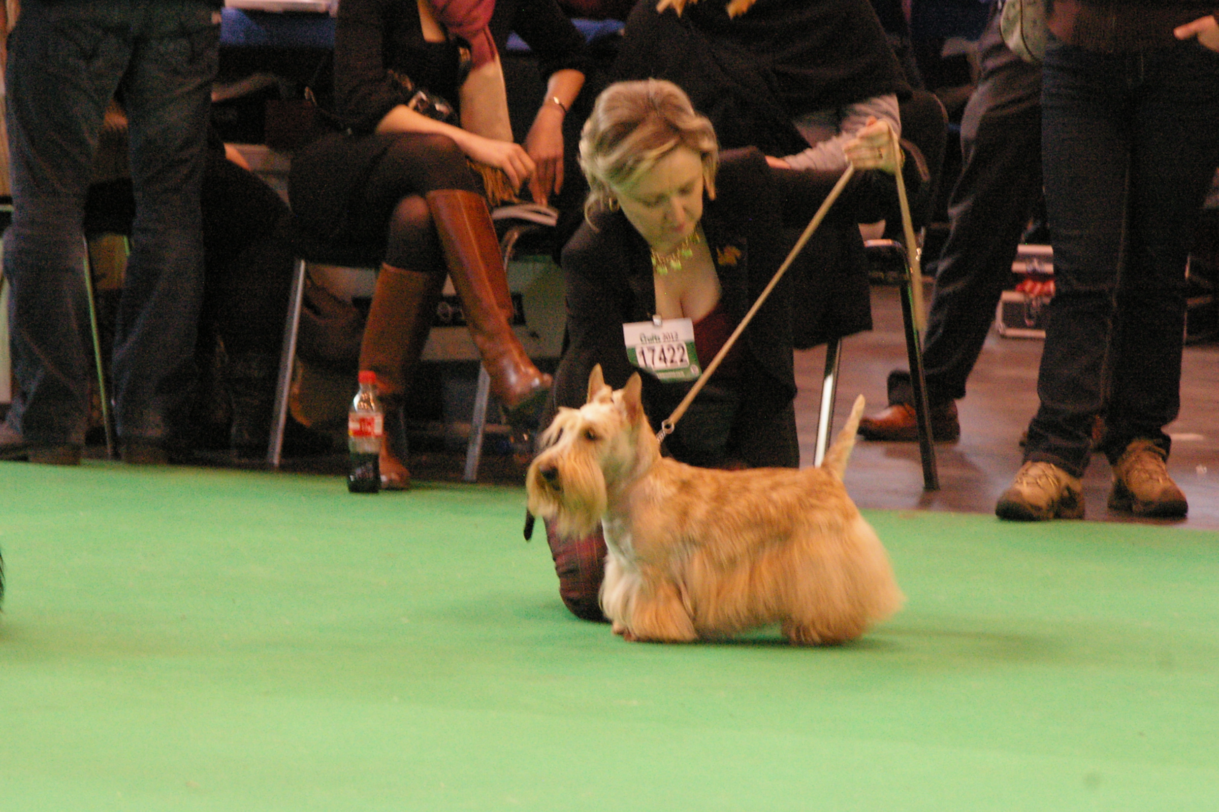 IMGP0975