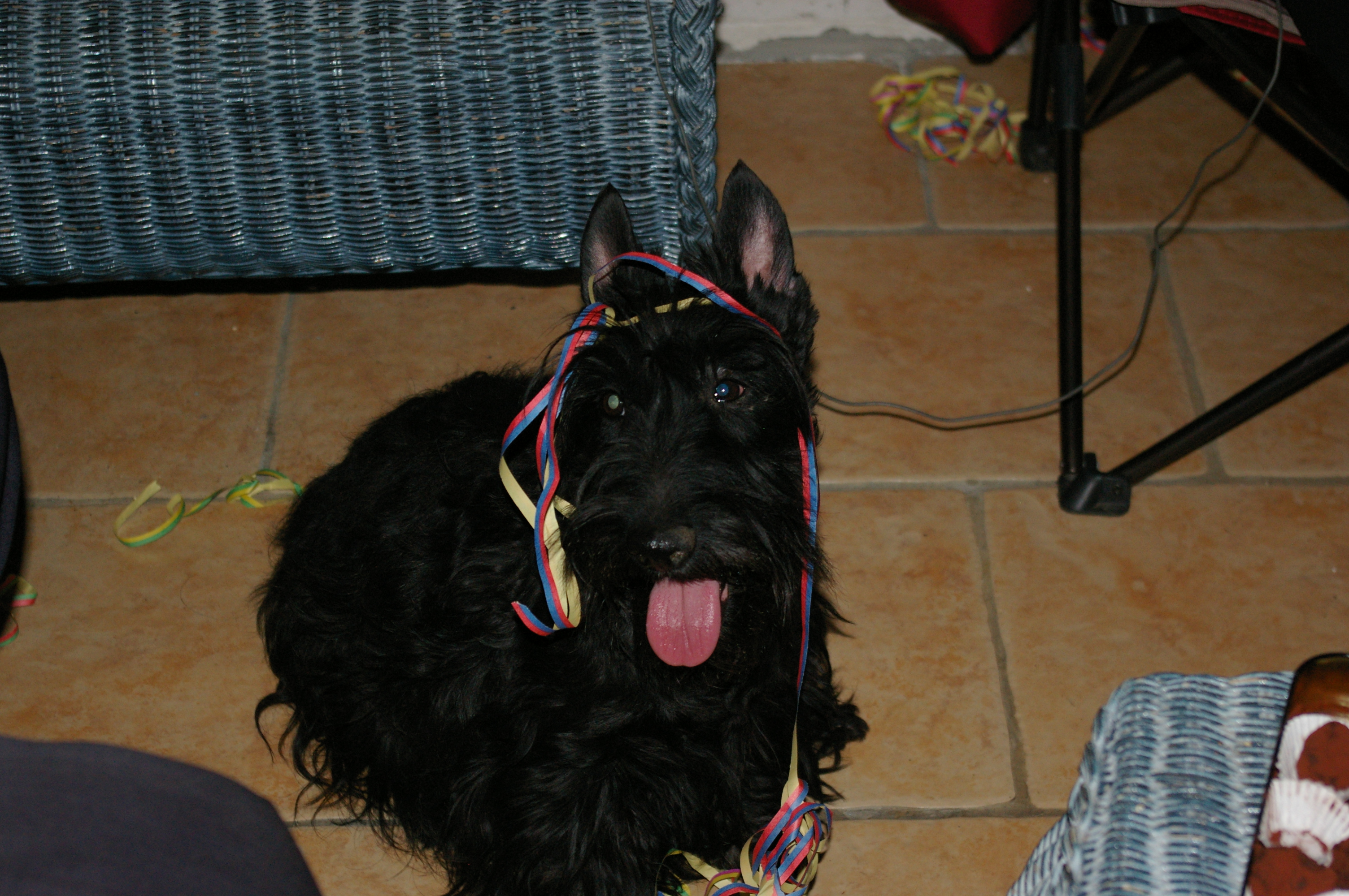 IMGP2508