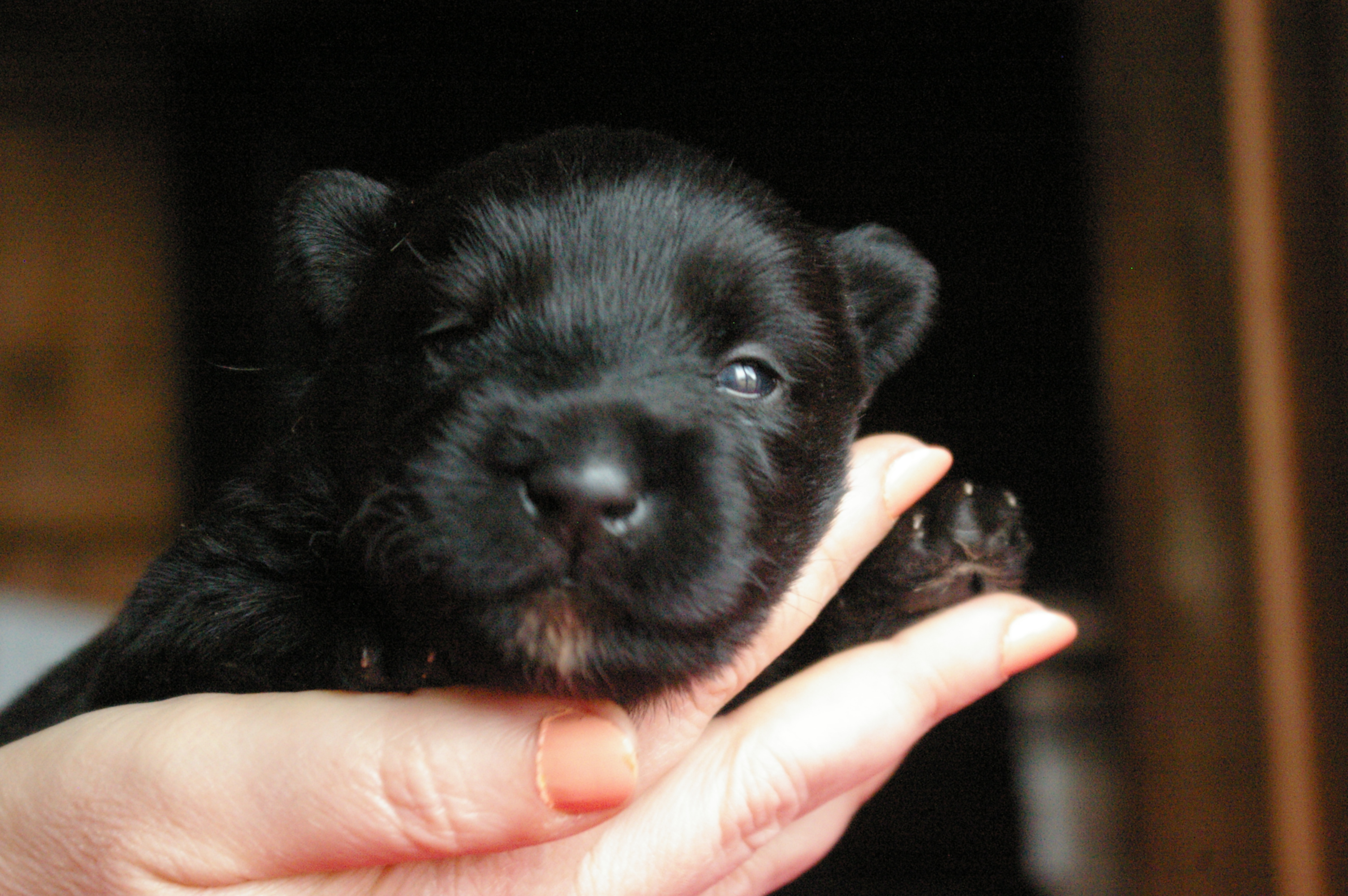 IMGP3292