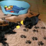 IMGP5166modif
