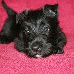 IMGP7640modif