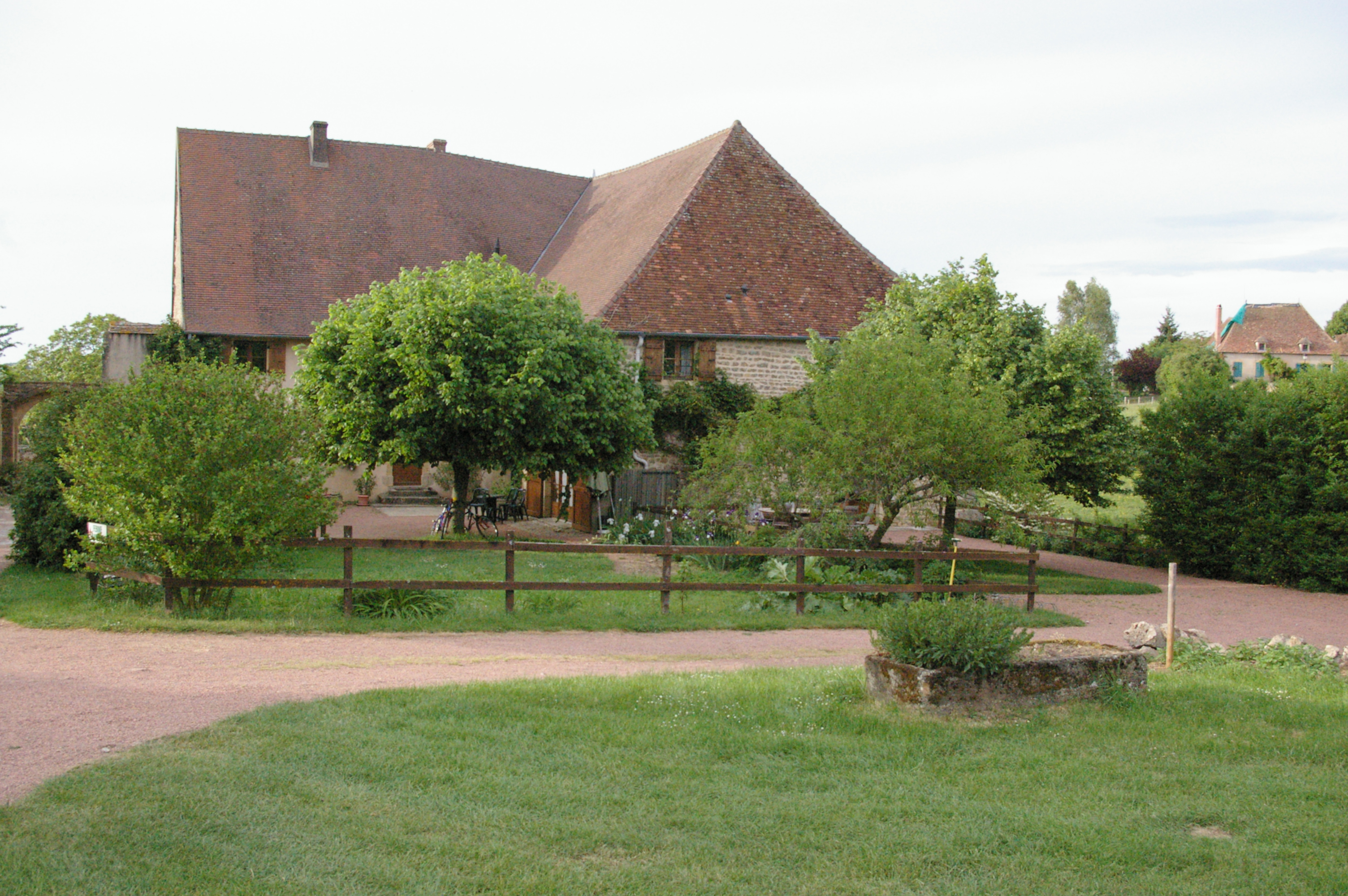 IMGP8551