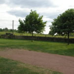 IMGP8552