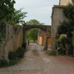 IMGP8553