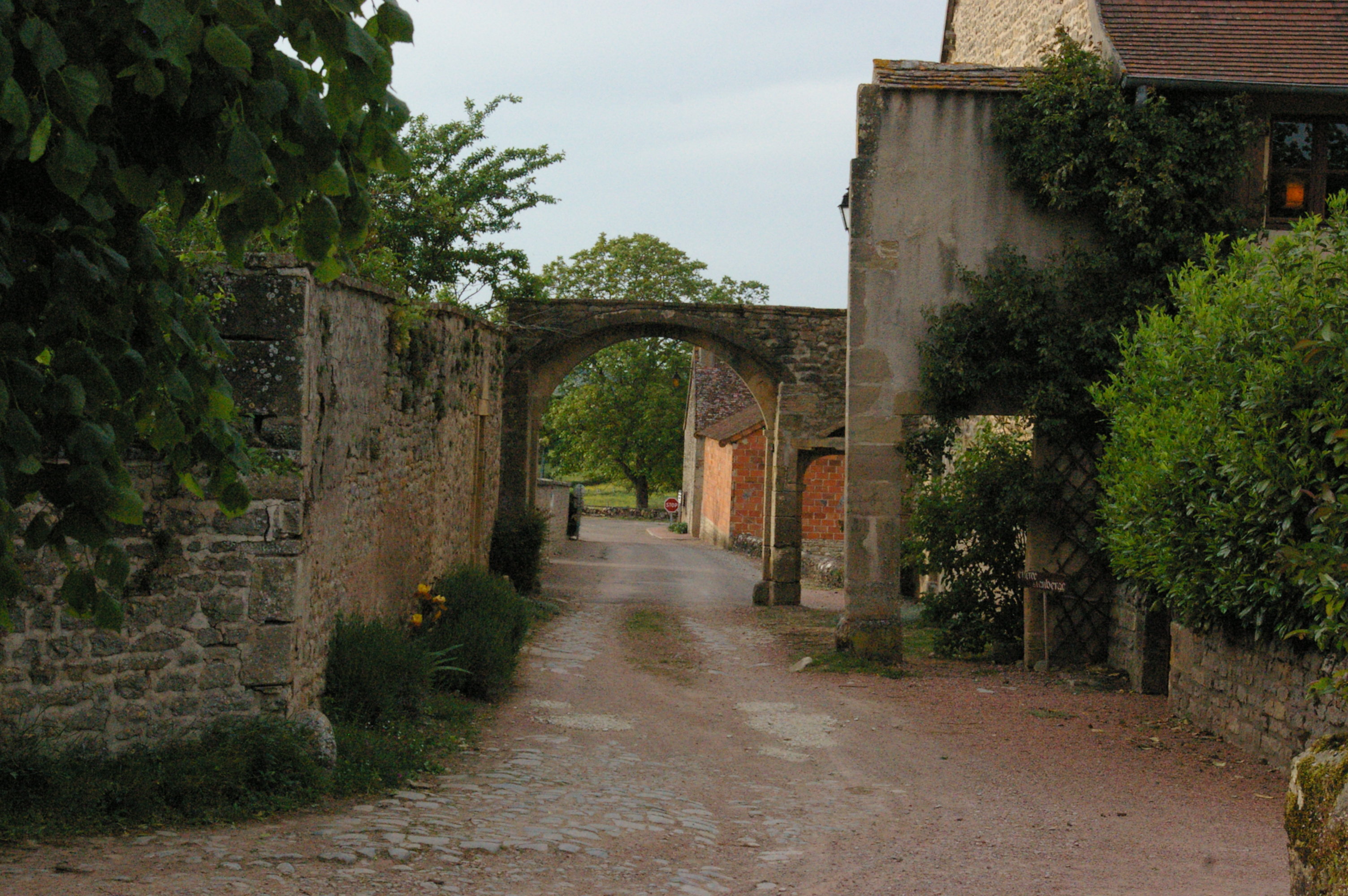 IMGP8553