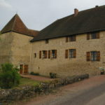 IMGP8561