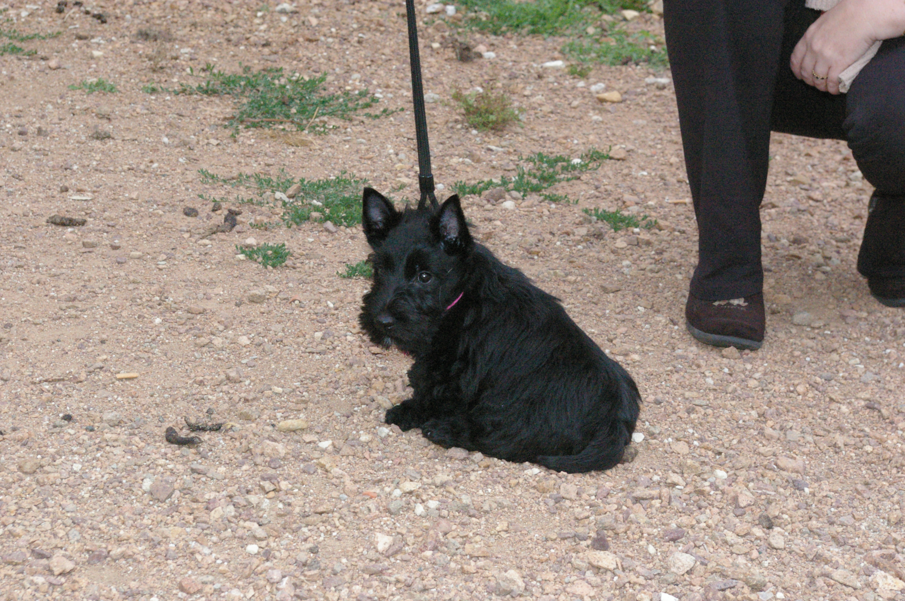 IMGP8885
