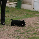 IMGP8917