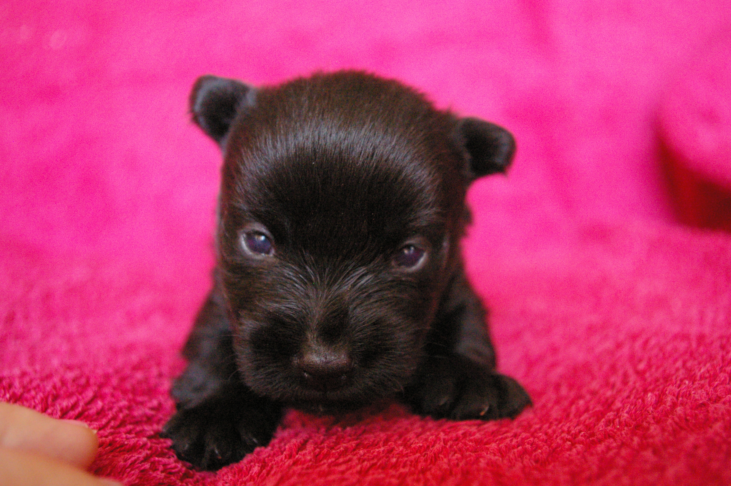 IMGP9031