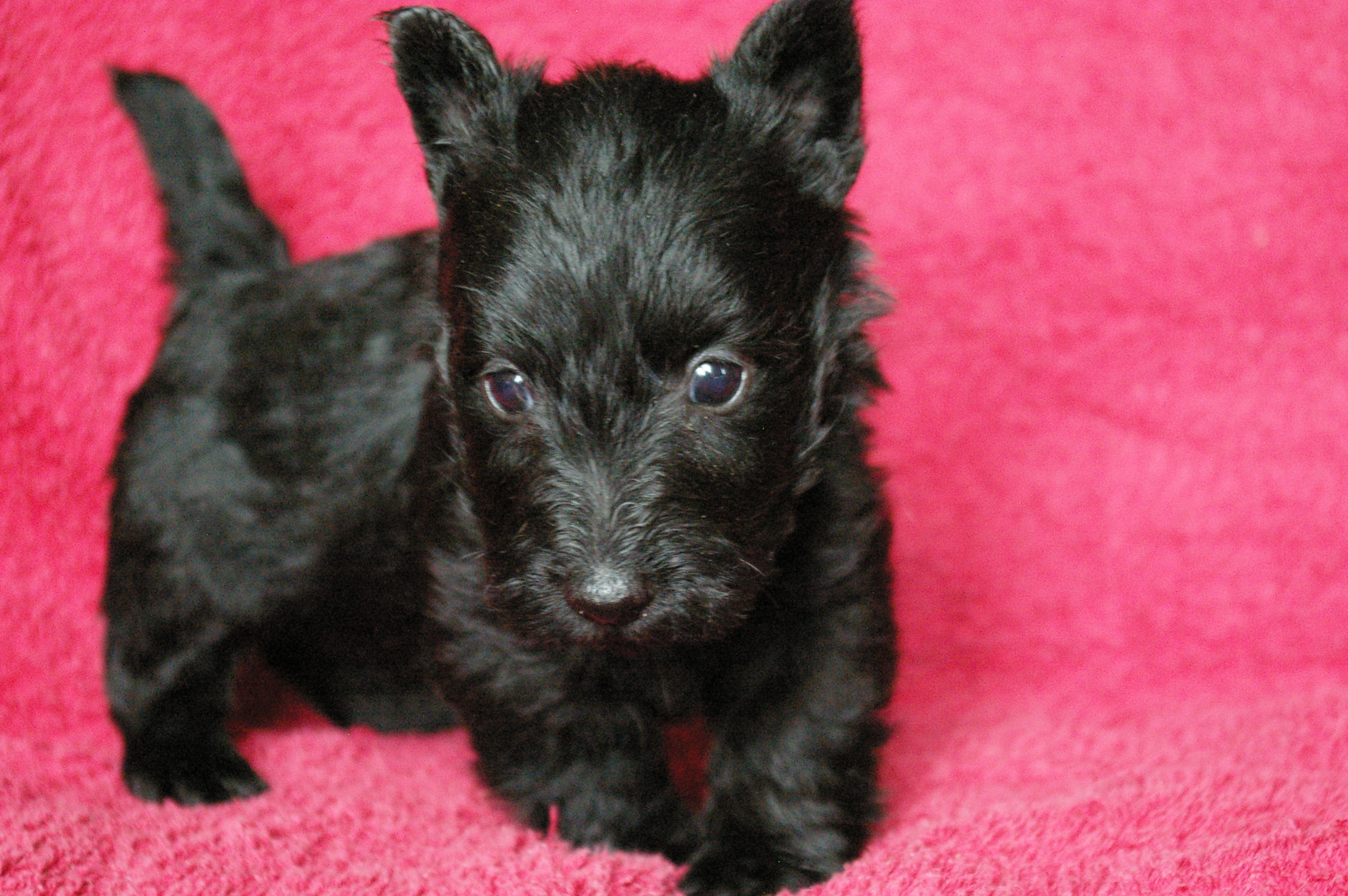 IMGP9479
