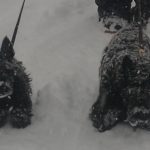 In__s Ski2