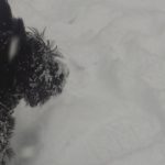 Ines ski3