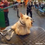 P1010814modifi__