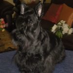 Photo 014