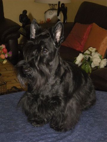 Photo 014