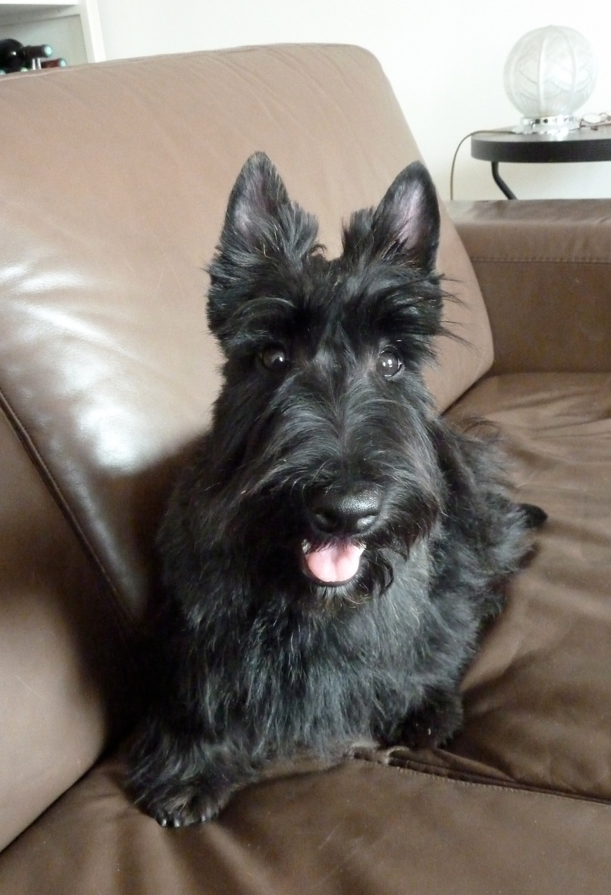 Rosie - 5 mois et demi 3