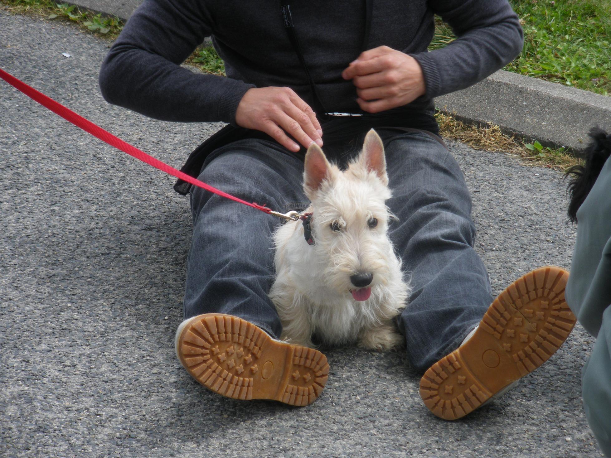 amicale 7_06_09 013modif