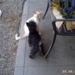 archie_5mois2