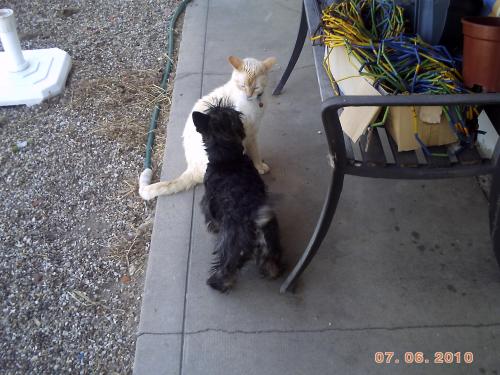 archie_5mois2