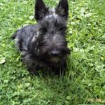 archie_5mois3
