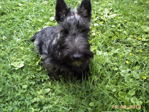 archie_5mois3