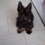 archie_5mois4