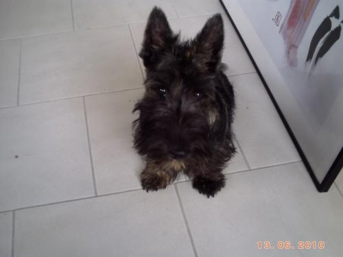 archie_5mois4