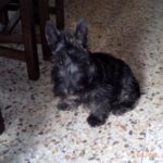 archie_5mois5