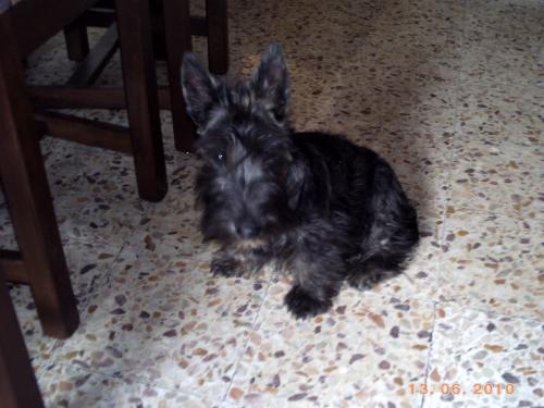 archie_5mois5