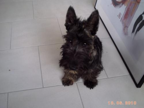 archie_5mois6