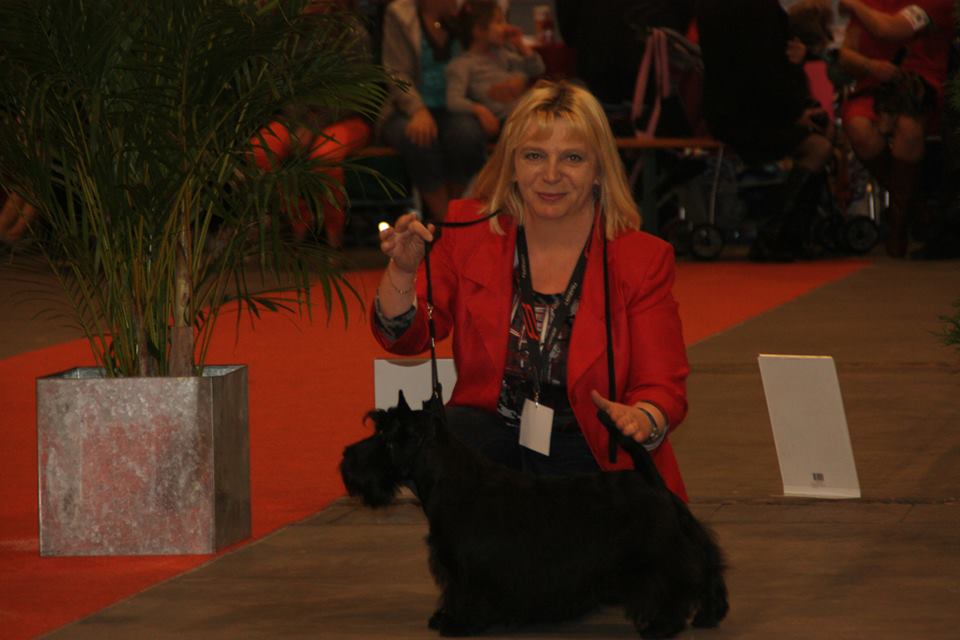 bruxelles 2013