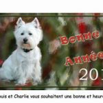 charliemodif